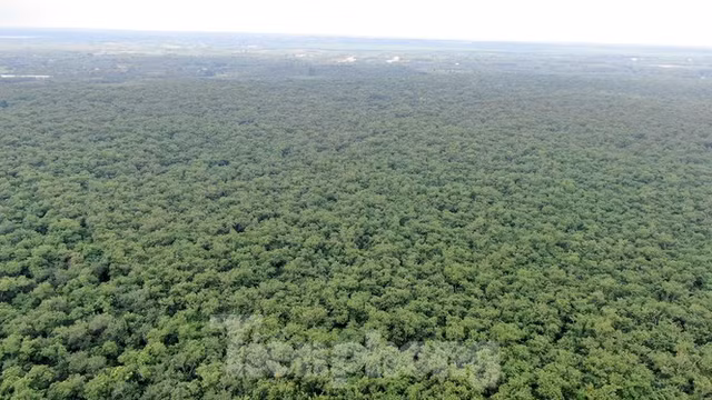 Can canh khu dat hon 1,8 nghin ha dang thu hoi lam san bay Long Thanh