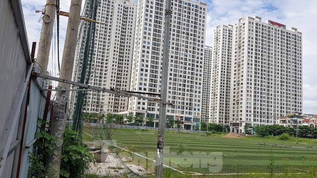 Truy thu 35 tỷ đồng doanh nghiệp sử dụng đất sai mục đích - Hình 2 Truy thu 35 ty dong doanh nghiep su dung dat sai muc dich-Hinh-2