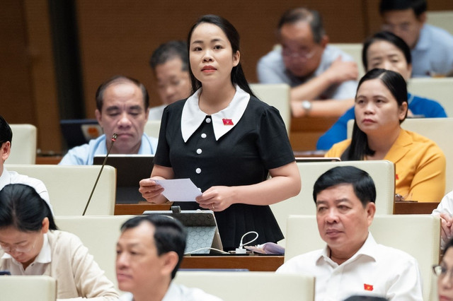 Phó Thủ tướng Lê Minh Khái: Thay thế cán bộ đùn đẩy, né tránh trách nhiệm - Hình 2 Pho Thu tuong Le Minh Khai: Thay the can bo dun day, ne tranh trach nhiem-Hinh-2