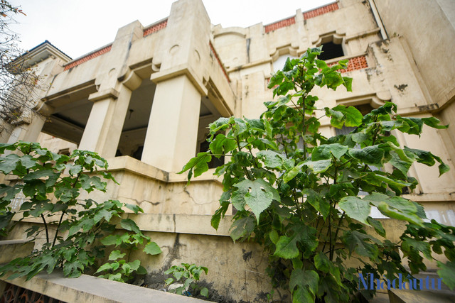 Nhech nhac biet thu xay khong phep tren dat Cang Ha Noi-Hinh-3