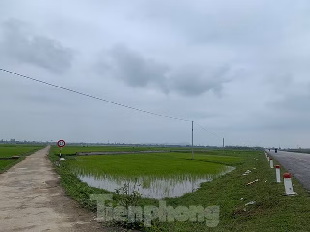 Sung sot vi dat nong thon co gia khoi diem 'tren troi'-Hinh-4