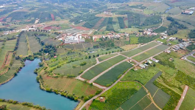 Cac don vi nao duoc Lam Dong thanh tra viec cap quyen su dung dat?