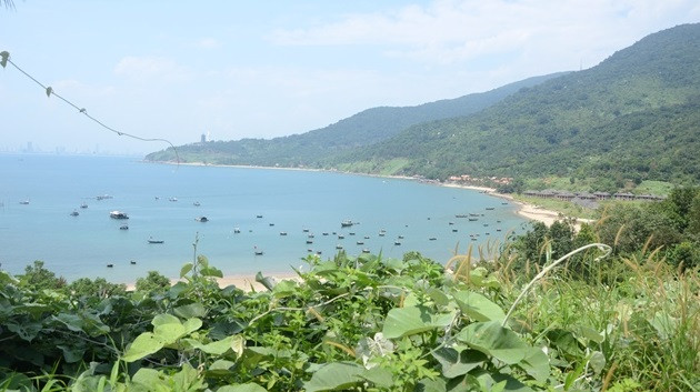 Đà Nẵng định lại giá đất ba dự án trên bán đảo Sơn Trà Da Nang dinh lai gia dat ba du an tren ban dao Son Tra