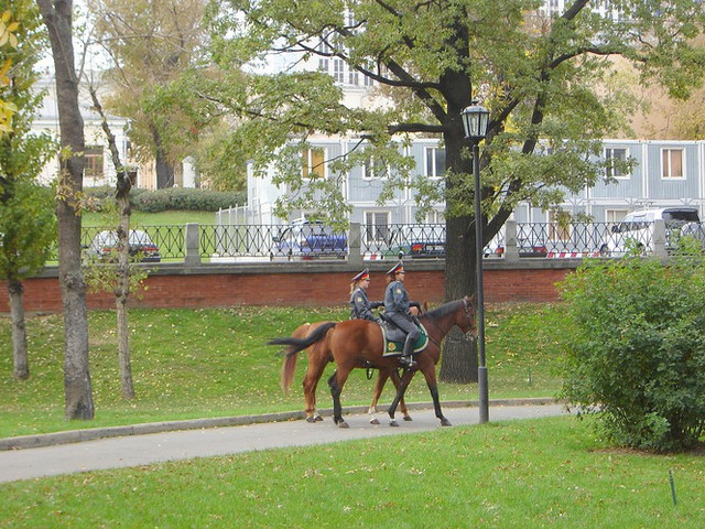 Can canh doi canh sat ki binh o cac nuoc-Hinh-7