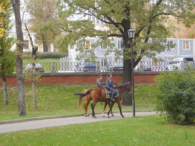 Can canh doi canh sat ki binh o cac nuoc-Hinh-7