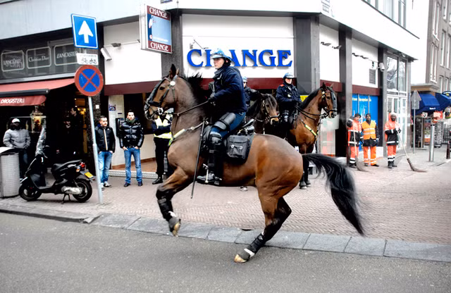 Can canh doi canh sat ki binh o cac nuoc-Hinh-3