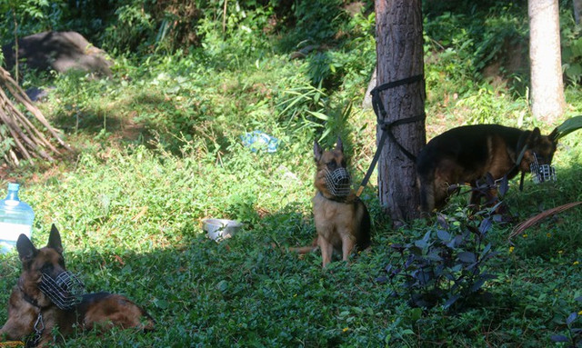 Tung quân ráo riết truy bắt phạm nhân giết người vượt ngục trốn trên đèo Hải Vân - Hình 5 Tung quan rao riet truy bat pham nhan giet nguoi vuot nguc tron tren deo Hai Van-Hinh-5