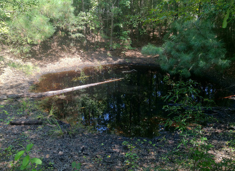 Dấu tích hố bom. Dấu tích hố bom.