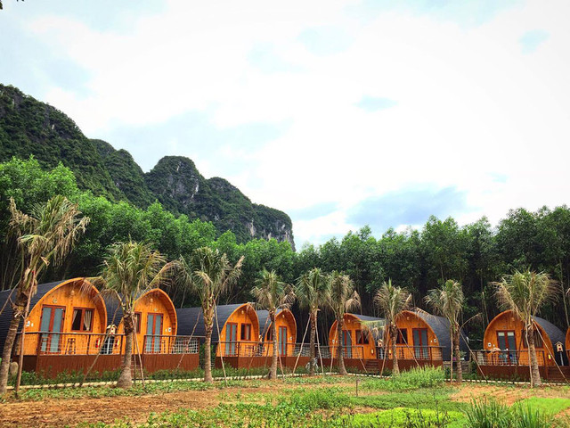 Doanh nghiệp xin xây khu farmstay 60 ha ở Thanh Hóa Doanh nghiep xin xay khu farmstay 60 ha o Thanh Hoa