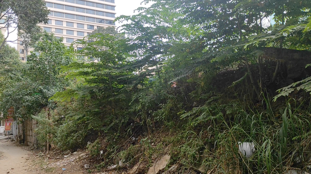 Cận cảnh khu 'đất vàng' hơn 6.000 m2 rơi vào tay tư nhân ở TPHCM - Hình 5 Can canh khu 'dat vang' hon 6.000 m2 roi vao tay tu nhan o TPHCM-Hinh-5