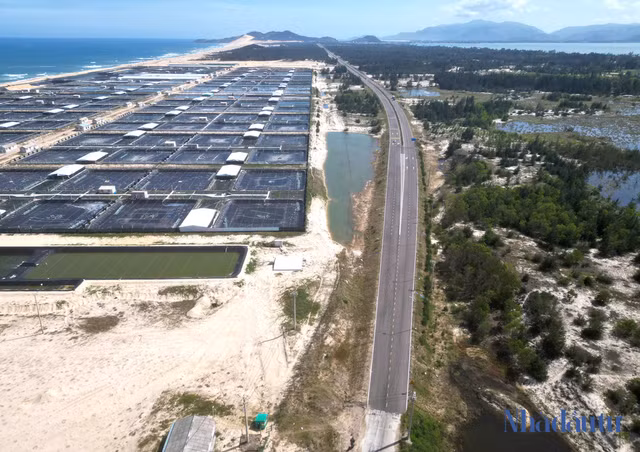 Con đường ven biển ngàn tỷ 'đẹp như tranh' ở Bình Định - Hình 11 Con duong ven bien ngan ty 'dep nhu tranh' o Binh Dinh-Hinh-11