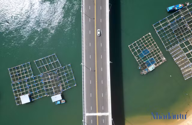 Con đường ven biển ngàn tỷ 'đẹp như tranh' ở Bình Định - Hình 6 Con duong ven bien ngan ty 'dep nhu tranh' o Binh Dinh-Hinh-6