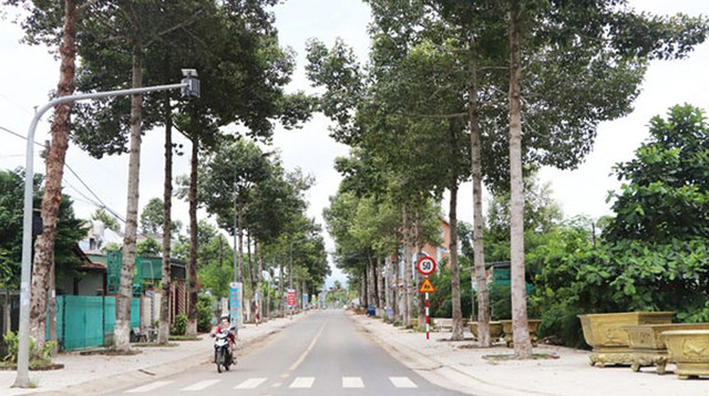 BQL du an huyen Tan Phu lua chon nha thau xay dung duong Nguyen Chi Thanh-Hinh-2