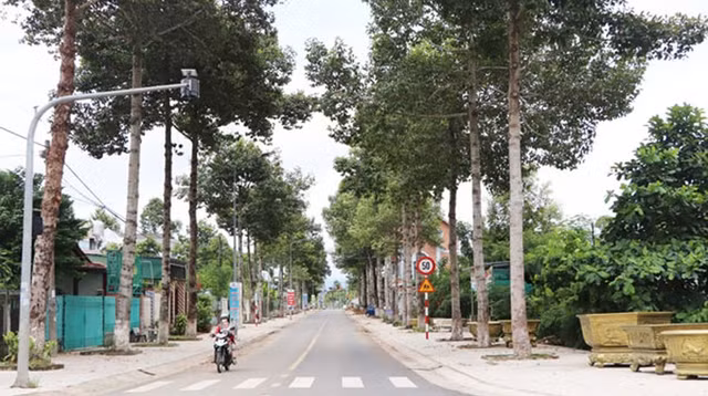 BQL du an huyen Tan Phu lua chon nha thau xay dung duong Nguyen Chi Thanh-Hinh-2