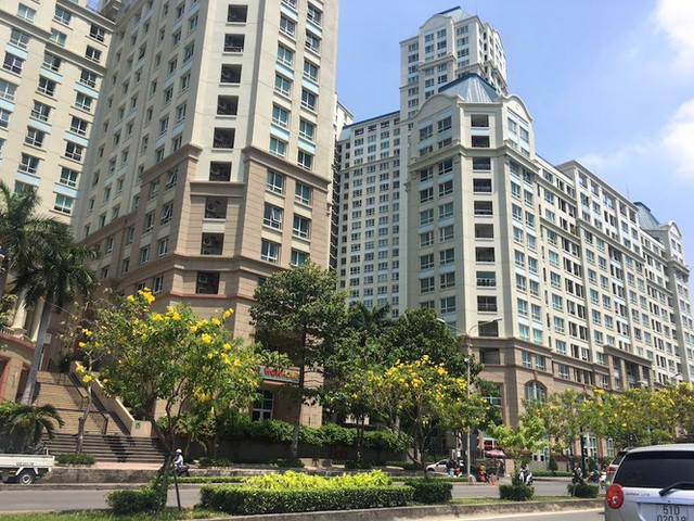 'Rung chung cu' de nang con duong chi 3km o Sai Gon-Hinh-19