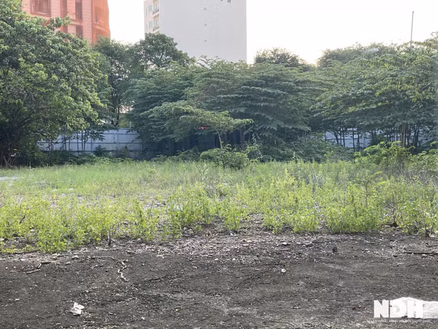 Chi tiet 2 du an bo hoang hang chuc nam, co moc um tum tren dat vang giua TP HCM-Hinh-7