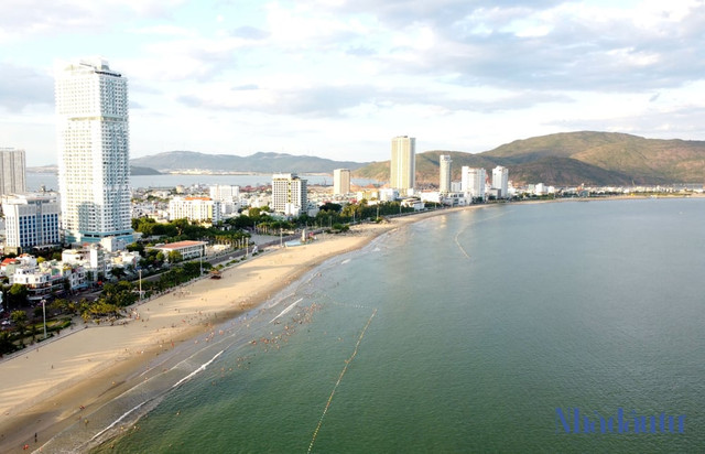 Loạt sai phạm của các doanh nghiệp được Bình Định cho thuê đất làm dự án Loat sai pham cua cac doanh nghiep duoc Binh Dinh cho thue dat lam du an