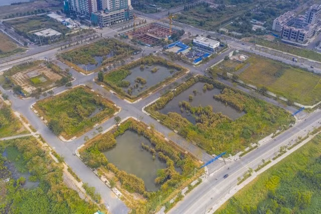 Bo Tu phap kien nghi che tai neu doanh nghiep bo coc khi trung dau gia dat