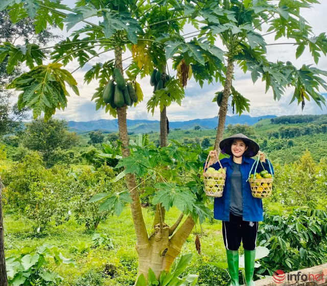 Co gia xinh dep roi Sai Gon sau 10 nam gan bo ve que nuoi heo ban, trong cay lam giau