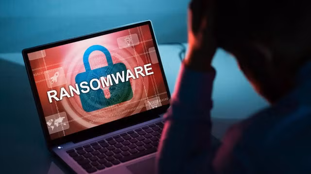 'Thoi gian ngung hoat dong trung binh sau mot cuoc tan cong ma doc la 24 ngay'-Hinh-2