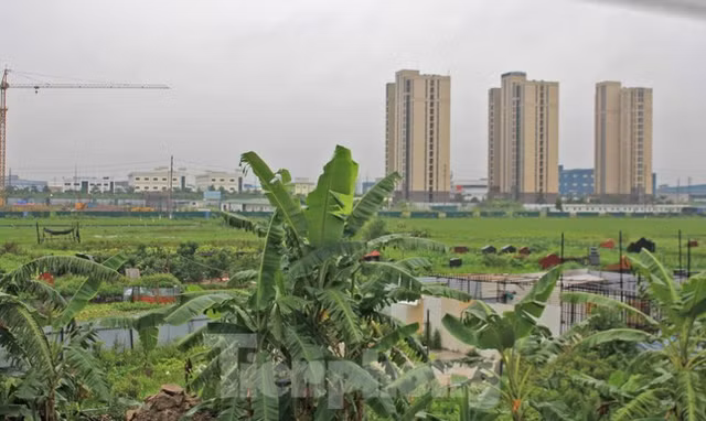 Loat du an o Bac Giang bi 'beu ten' vi vi pham phap luat ve dat dai-Hinh-2