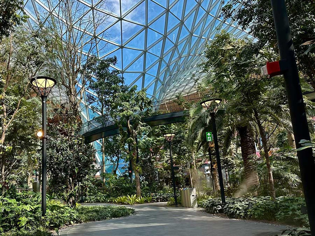Đi lạc trong vườn hoa The Orchard 6.000 m2 ở sân bay quốc tế chủ nhà World Cup 2022 - Hình 4 Di lac trong vuon hoa The Orchard 6.000 m2 o san bay quoc te chu nha World Cup 2022-Hinh-4
