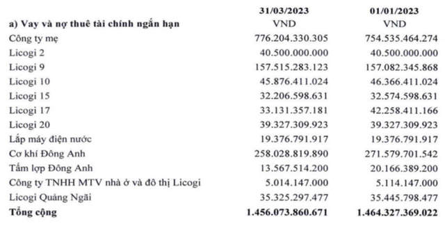 Quý 1 tiếp tục lỗ, Tổng Công ty LICOGI giải trình ra sao? - Hình 8 Quy 1 tiep tuc lo, Tong Cong ty LICOGI giai trinh ra sao?-Hinh-8