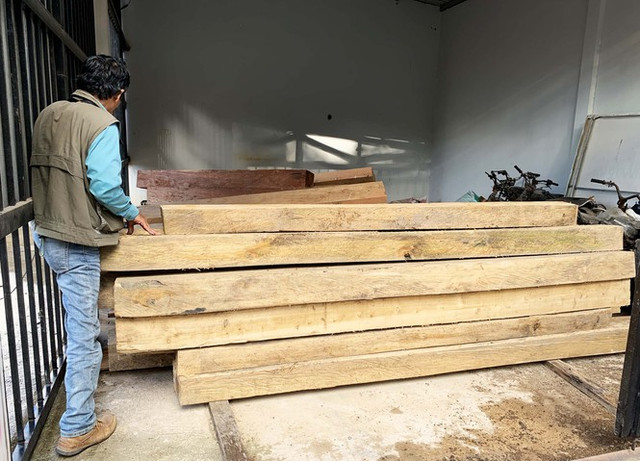 Rừng nguyên sinh bị tàn phá, gỗ lậu lọt vào nhà... Tổ trưởng bảo vệ rừng - Hình 5 Rung nguyen sinh bi tan pha, go lau lot vao nha... To truong bao ve rung-Hinh-5