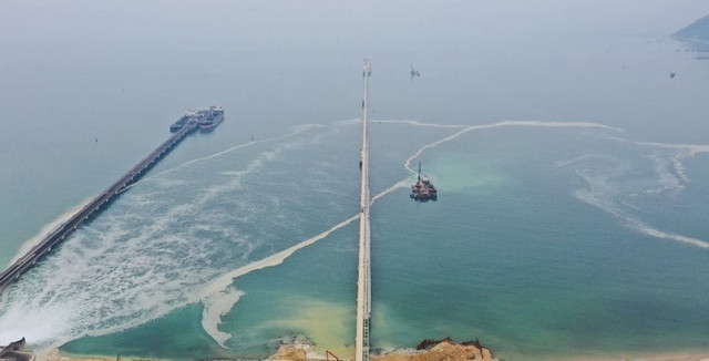 Nhà máy nhiệt điện Vũng Áng 2 bị đánh giá 'có yếu tố nhạy cảm về môi trường' - Hình 3 Nha may nhiet dien Vung Ang 2 bi danh gia 'co yeu to nhay cam ve moi truong'-Hinh-3
