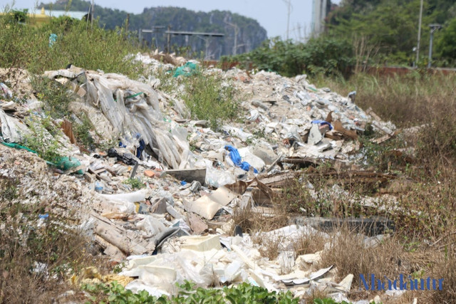 Bên trong khu du lịch biển liên quan đến Vũ 'nhôm' bỏ hoang nhiều năm - Hình 5 Ben trong khu du lich bien lien quan den Vu 'nhom' bo hoang nhieu nam-Hinh-5