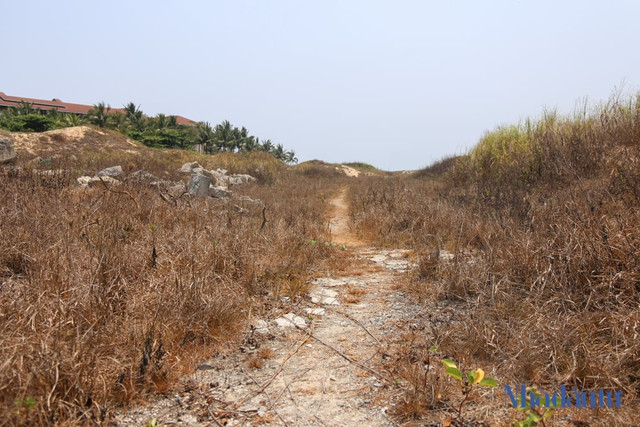 Bên trong khu du lịch biển liên quan đến Vũ 'nhôm' bỏ hoang nhiều năm - Hình 9 Ben trong khu du lich bien lien quan den Vu 'nhom' bo hoang nhieu nam-Hinh-9