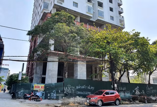 Can canh cao oc om 'dat vang' bo hoang ca chuc nam o Nghe An-Hinh-5