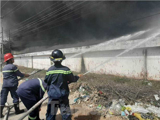 Chay khung khiep o cong ty go rong 10.000 m2 tai Binh Duong-Hinh-3