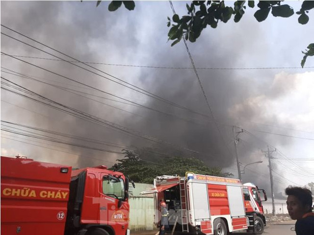 Chay khung khiep o cong ty go rong 10.000 m2 tai Binh Duong-Hinh-2