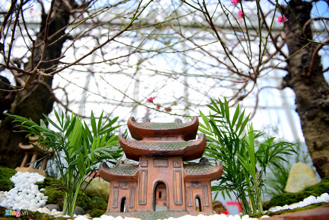 Chậu hoa đào hình rồng giá hơn 1 tỷ chỉ đại gia mới có tiền mua - Hình 3 Chau hoa dao hinh rong gia hon 1 ty chi dai gia moi co tien mua-Hinh-3