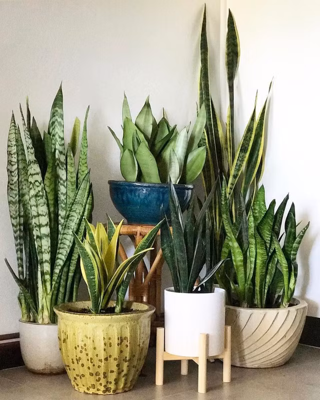 Loc toi tap vao nha nho lam nhung dieu don gian sau-Hinh-4