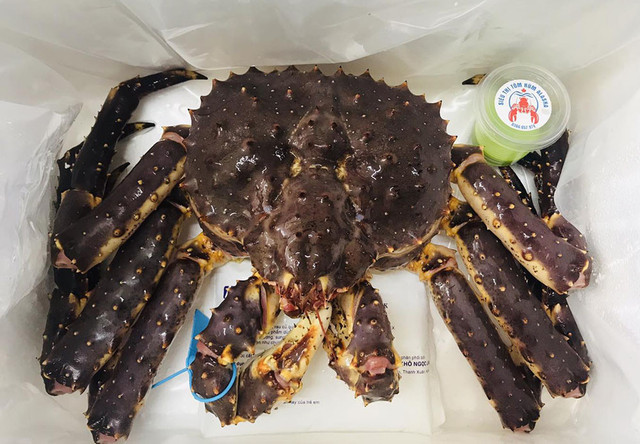 Đại gia chơi sang mua 72 con cua Hoàng đế đãi nhân viên Dai gia choi sang mua 72 con cua Hoang de dai nhan vien