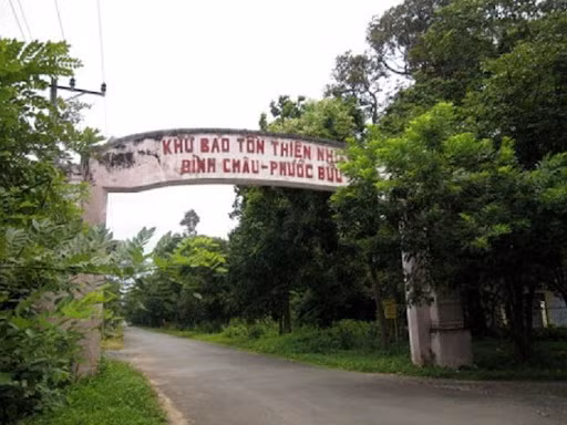 Nhieu sai pham trong giao khoan dat rung tai Khu Bao ton thien nhien Binh Chau - Phuoc Buu