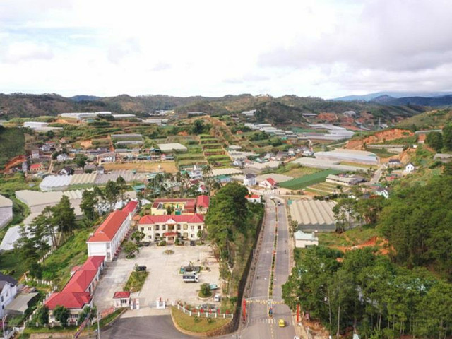 Lâm Đồng đấu thầu 122 lô đất, 44 biệt thự tại thị trấn Lạc Dương Lam Dong dau thau 122 lo dat, 44 biet thu tai thi tran Lac Duong