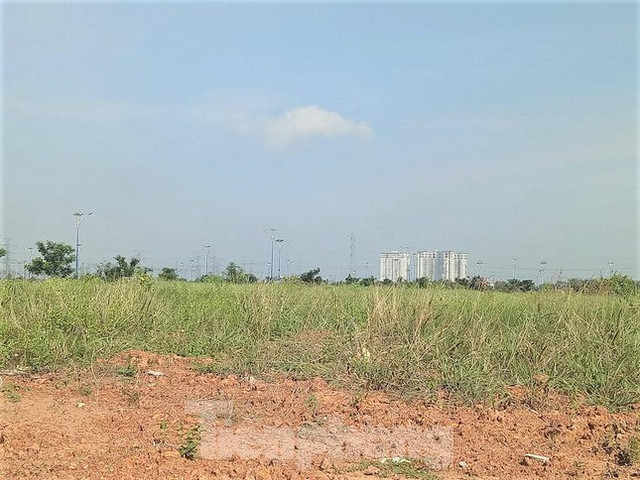 Du an nha o Dai Nam tung muon hien 127 lo dat nhung khong ai nhan gio ra sao?-Hinh-6