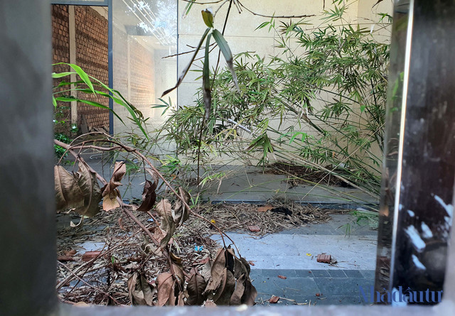 Cận cảnh hàng trăm căn shophouse bỏ hoang tại Marina Complex - Hình 5 Can canh hang tram can shophouse bo hoang tai Marina Complex-Hinh-5