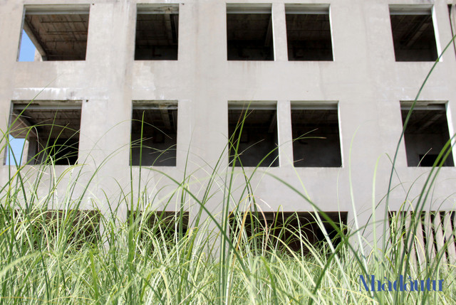 Cận cảnh hàng trăm căn shophouse bỏ hoang tại Marina Complex - Hình 9 Can canh hang tram can shophouse bo hoang tai Marina Complex-Hinh-9