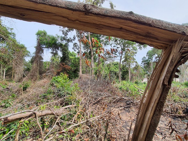 Sai phạm đất đai nghiêm trọng ở Phú Quốc: Tan rừng, nát biển Sai pham dat dai nghiem trong o Phu Quoc: Tan rung, nat bien