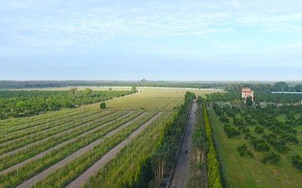 Vì sao nông trại rộng 152ha của Vinamit bị thanh tra? Vi sao nong trai rong 152ha cua Vinamit bi thanh tra?