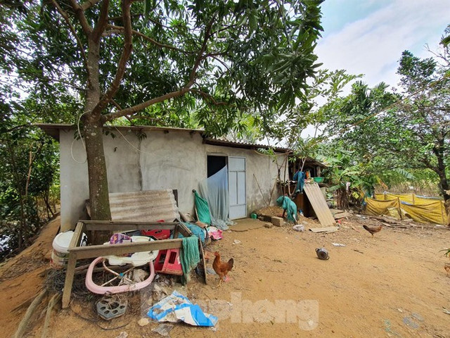 Nhiều địa phương vào cuộc chấn chỉnh, chặn sốt đất mùa cuối năm - Hình 4 Nhieu dia phuong vao cuoc chan chinh, chan sot dat mua cuoi nam-Hinh-4