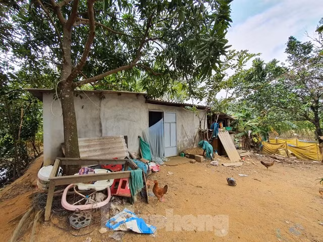 Nhieu dia phuong vao cuoc chan chinh, chan sot dat mua cuoi nam-Hinh-4