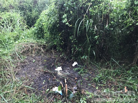 Thấy bộ xương người trong vườn mai, người đi hái rau hoảng loạn Thay bo xuong nguoi trong vuon mai, nguoi di hai rau hoang loan