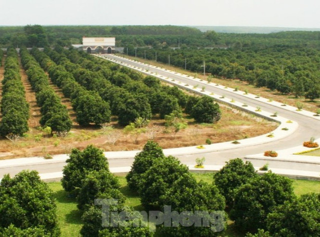 Bình Dương lập đoàn thanh tra nông trại rộng gần 153 ha đất Binh Duong lap doan thanh tra nong trai rong gan 153 ha dat