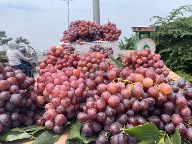 Su that nga ngua 'nho My, nho vuon'… ban doc duong Sai Gon-Hinh-6