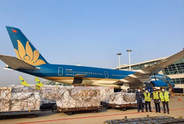 Diem ten 4 doanh nghiep van tai lo hon 20.700 ty dong vi COVID-19